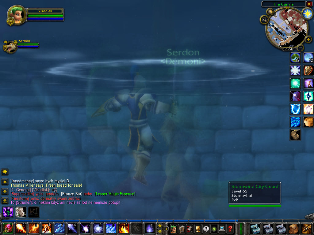 WoWScrnShot_110808_172455.jpg